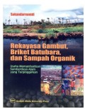 Rekayasa Gambut, Briket Batubara dan Sampah Organik