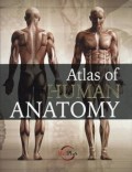 Atlas of Human Anatomy