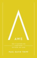 Awe: Why it Matters for Everything We Think, Say, and Do