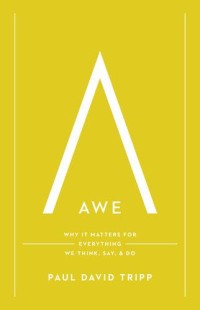 Awe: Why it Matters for Everything We Think, Say, and Do