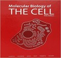 Molecular Biology of The Cell