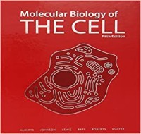 Molecular Biology of The Cell