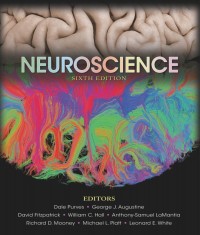 Neuroscience