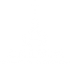 Calvin Institute Of Technology